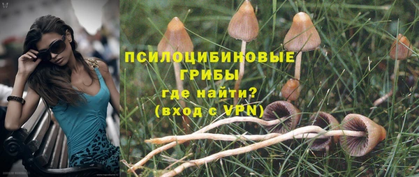 apvp Балабаново